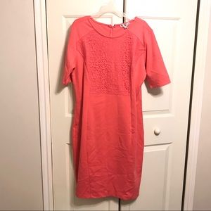 NWT Downeast Greenwich shift dress